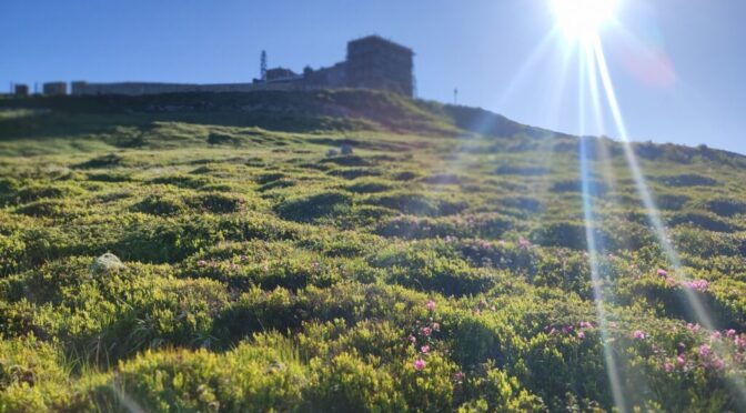 Radnote radiation monitoring station